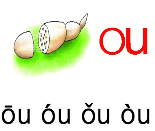 www.67xuexi.comСѧ