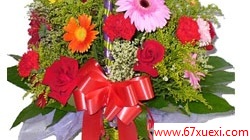  www.67xuexi.com