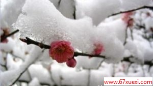 ѩ www.67xuexi.com