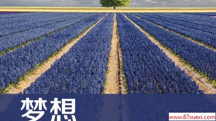 ã2014——ͼ                     www.67xuexi.com