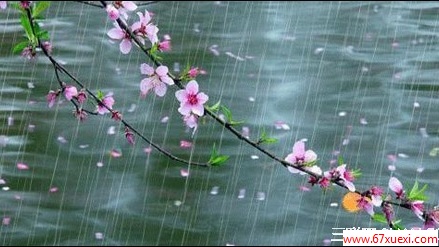 春雨为何贵如油？ www.67xuexi.com