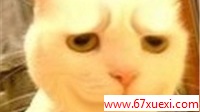 www.67xuexi.com
