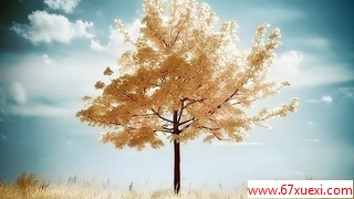  www.67xuexi.com