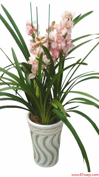 ڼҾе www.67xuexi.com