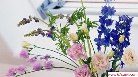 ڼҾе                  www.67xuexi.com