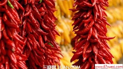 ζò֪Ľɣ www.67xuexi.com
