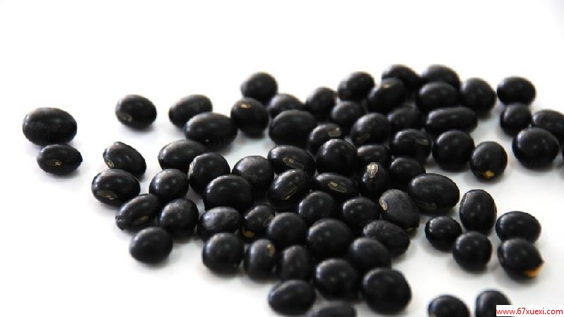 醋泡黑豆治疗白发的方法！ www.67xuexi.com