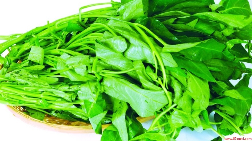 空心菜挑选窍门 www.67xuexi.com