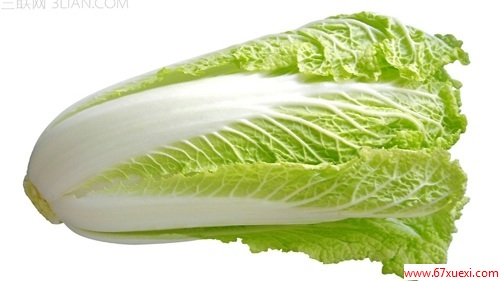 ͬεʳ www.67xuexi.com