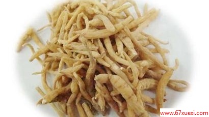 太子参功效与作用 www.67xuexi.com