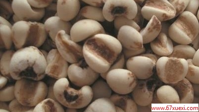 吃薏米有什么好处 www.67xuexi.com