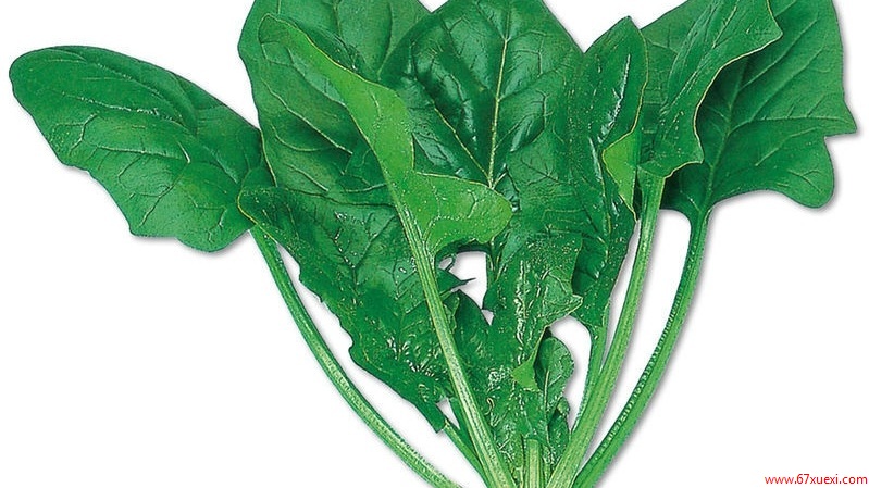 哪些食物适合春季吃 www.67xuexi.com