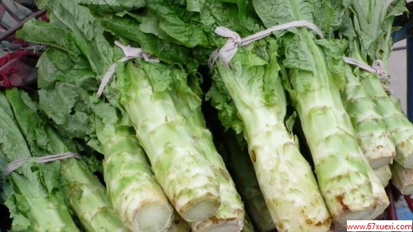 最适合春季养生的8种食物 www.67xuexi.com