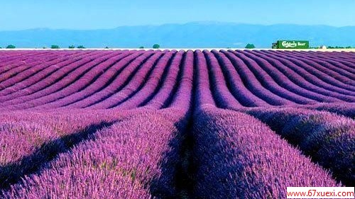 ھι 뷨 www.67xuexi.com