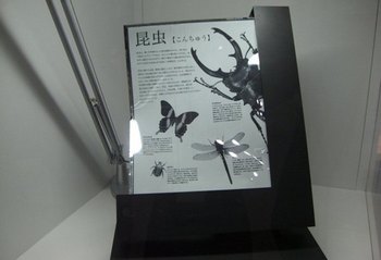 为何电子书都是黑白屏? www.67xuexi.com