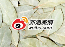 ΢ҵӰʲôã www.67xuexi.com