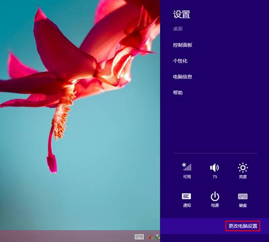 Win8.1ϵͳ´ذӰ̴ֵĽ    