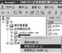 DNSд