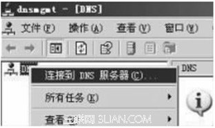 DNSĲ