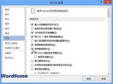 Word2013ʹָ