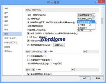 word2013ĵճ