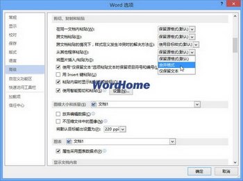 word2013ճ