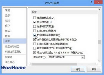 word2013ӡֵ