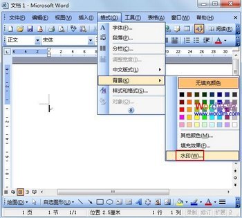 Word2003ͼƬˮӡӷ www.67xuexi.com