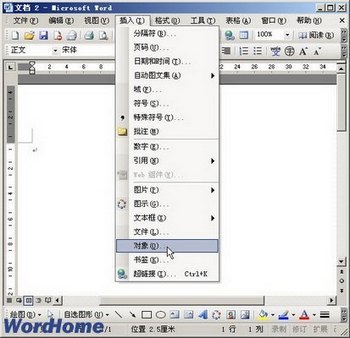 Wordѧʽ www.67xuexi.com