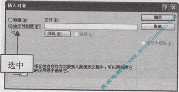 PowerPoint中如何导入Word表格