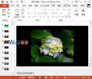 ͼƬٵ뵽PowerPoint2013