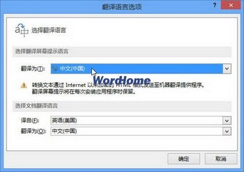 翻译语言选项