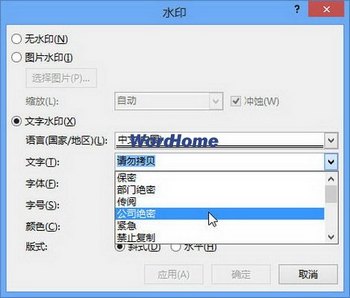 ѡWord2013ˮӡ