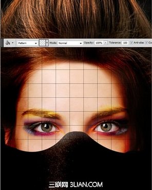 ȫ򾭵ƾۺ PS̳ Photoshop̳