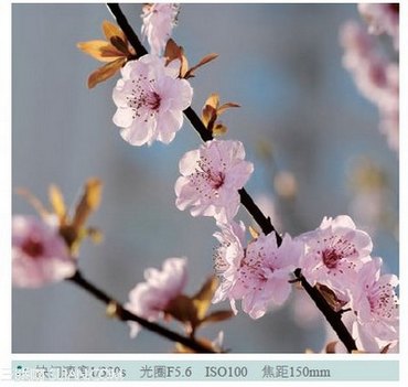 ĹͼӰЧ   www.67xuexi.com