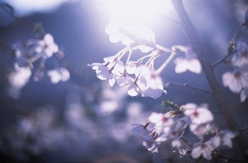 ϵƬָ   www.67xuexi.com