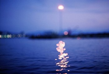 ϵƬָ
