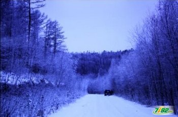 ѩӰɫָ