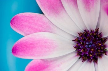 ΢Ӱȫ www.67xuexi.com