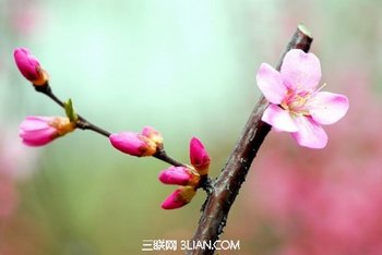 ÷֮   www.67xuexi.com