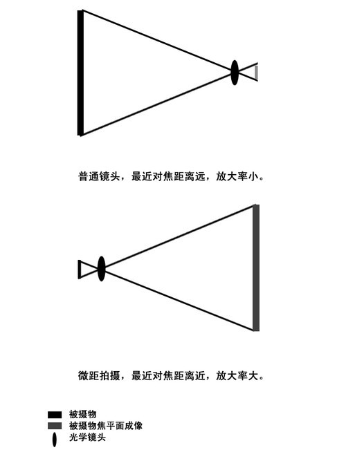 ˾΢