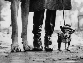 Elliott Erwitt 摄影作品