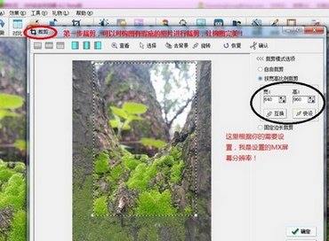 ӰħƬֻ̳̣5ɴƬwww.67xuexi.com̳