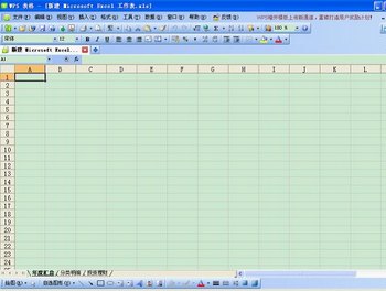 WPS表格技巧：如何打造个性化记账本 www.67xuexi.com教程